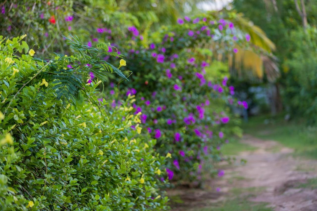 Rock Violet Lakefront Cabanas & Restaurent Tangalle Dış mekan fotoğraf